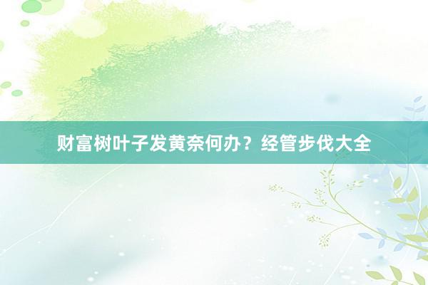 财富树叶子发黄奈何办？经管步伐大全